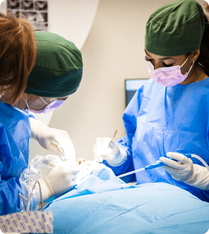 Ontdek meer over <span>ons team</span>